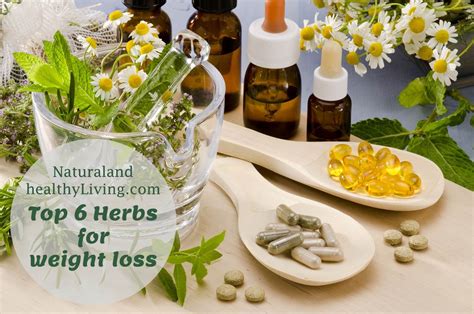 Herbs for weight loss spell